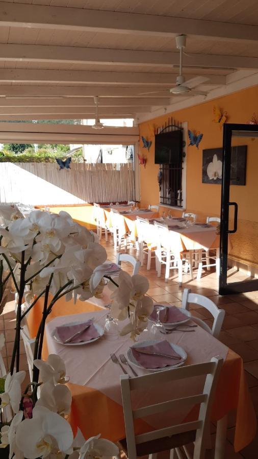Nonna Lory Bed & Breakfast ปิเอตราซานตา ภายนอก รูปภาพ